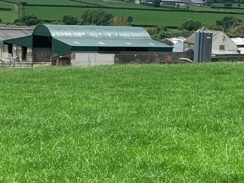 Cleaning and Restoration Specialists